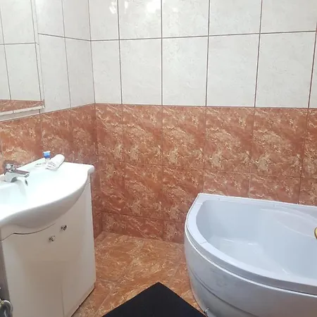 Studio Avrig Apartment