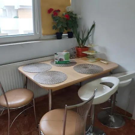 Apartment Studio Avrig