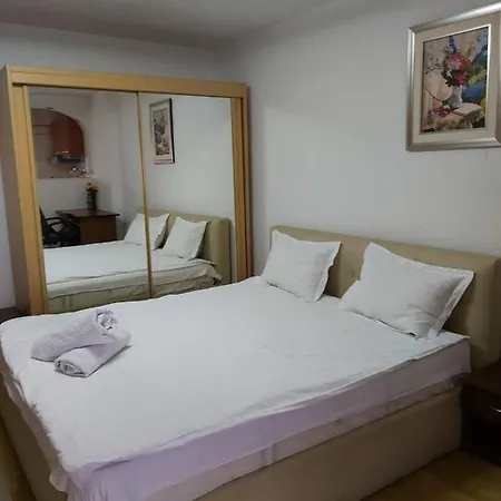 Apartment Studio Avrig