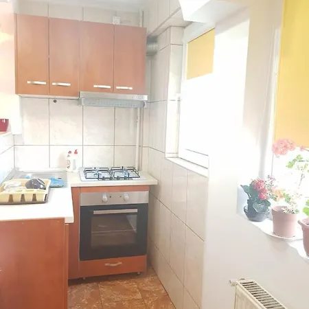 Studio Avrig Apartment *