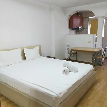 Studio Avrig Apartment *