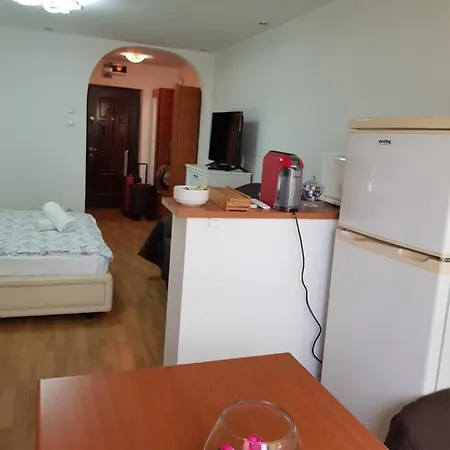 Apartment Studio Avrig Bucharest